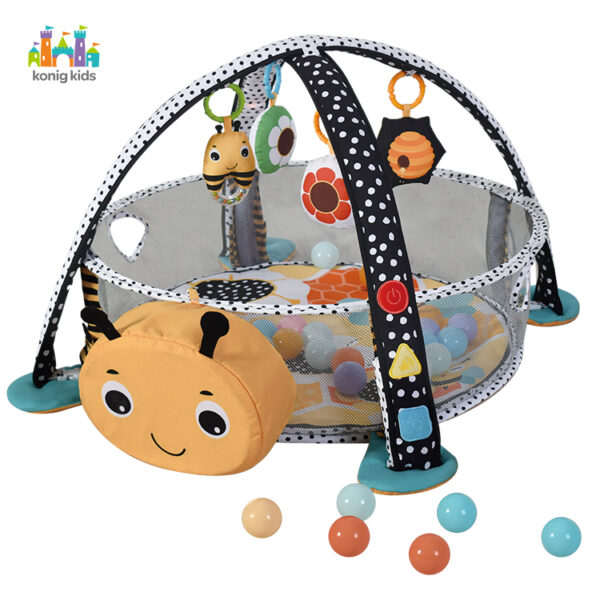Musical Play Gym Activity Mat