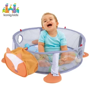 3 in 1 Baby Play Gym With Ocean Balls view 2