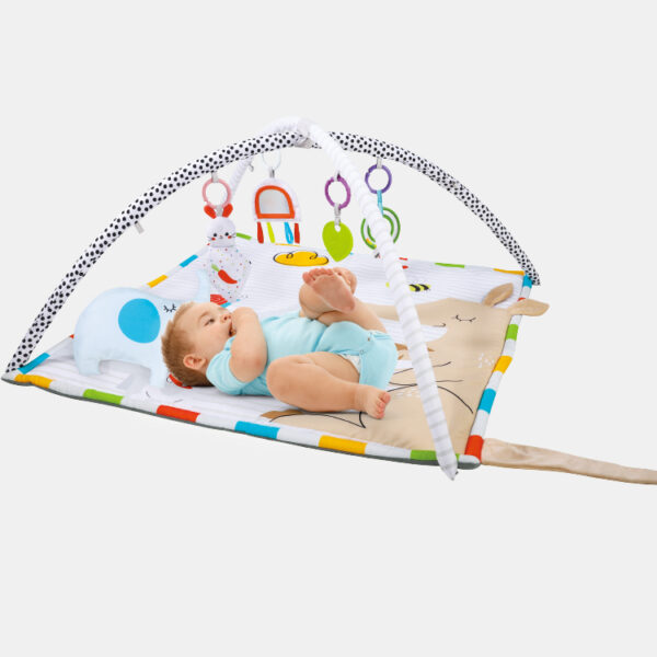 Baby Activity Gym