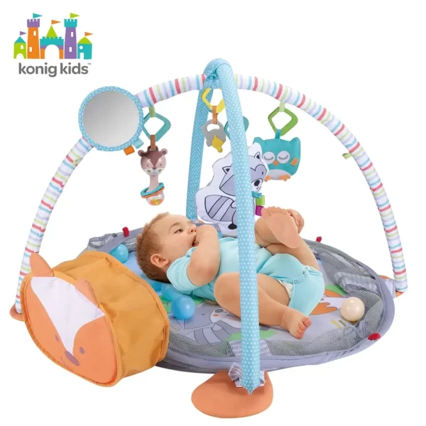 3 in 1 Baby Play Gym With Ocean Balls